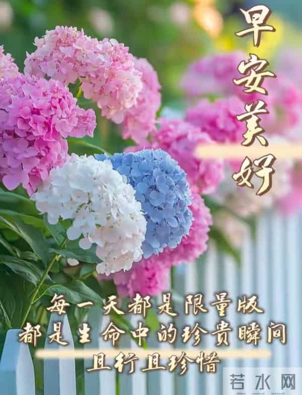 2025年12月16日，星期二，农历十月二十七，早安吉祥祝福语！