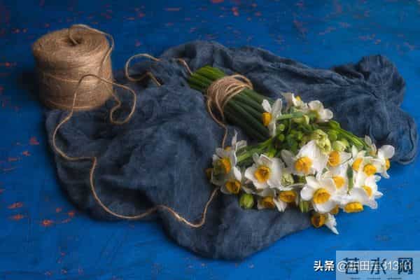 开心是一天，不开心也是一天，所以为什么，就不能开心一点