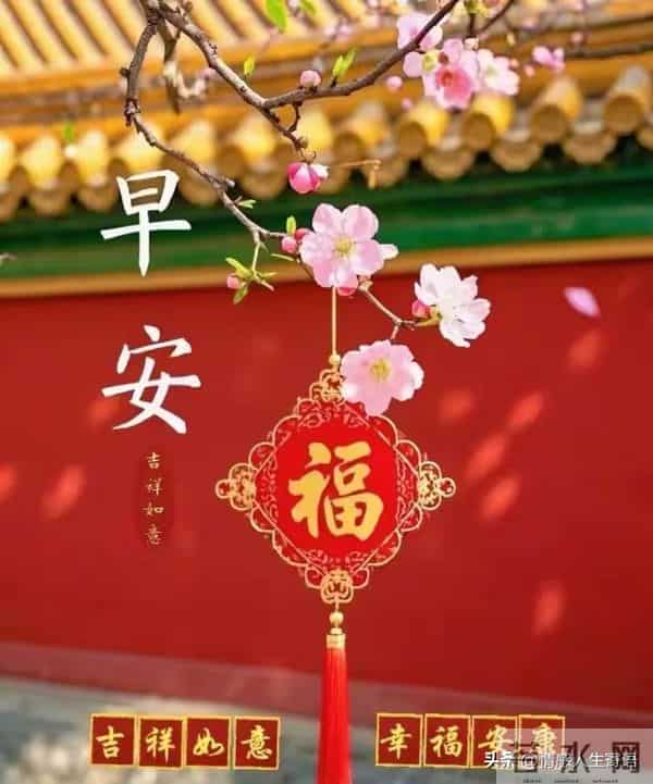 2025年12月15日早上好 ！周一愉快 早安精美美图温馨祝福语 早上好！