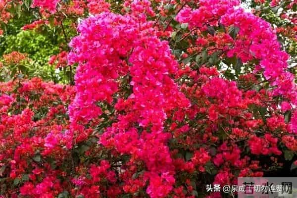 夫妻到了七十岁,还能同居,只有三种情况