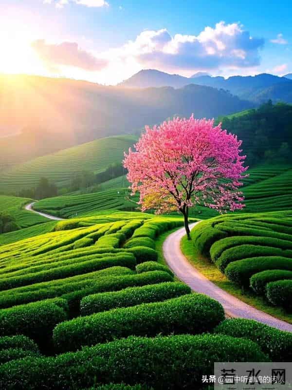 89年去女老师家修水管，临走时她抱住我说：我想做你的女人