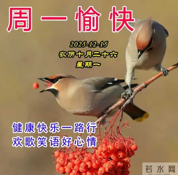 2025.12.15周一早安图片-祝你早安多吉祥,福气洒满整个群
