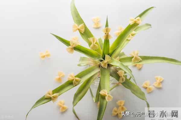 12月16日-稳中有升：这三大星座最易收获“踏实之财”