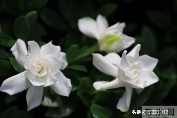 人这一辈子，想多了全是问题，做起来全是答案。