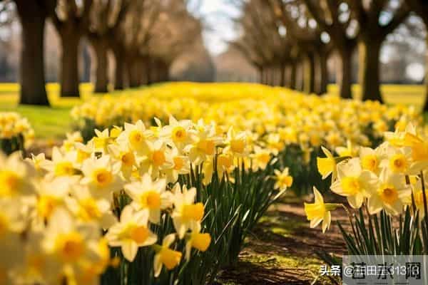 开心是一天，不开心也是一天，所以为什么，就不能开心一点