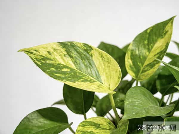 人到中年才懂-人不需要太用力走近任何人，只需要用力走向自己。