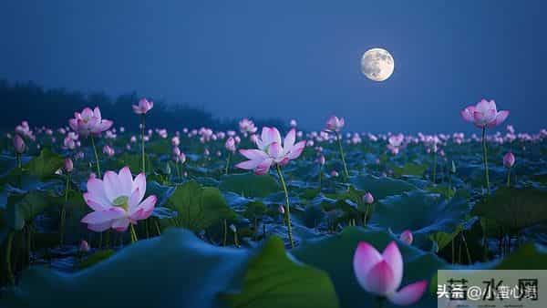 两性警示：如果还想多活几年，65岁以后必须牢记这6句话