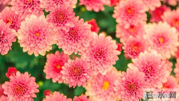 12月16日星期二，未羊，可能会有有事发生