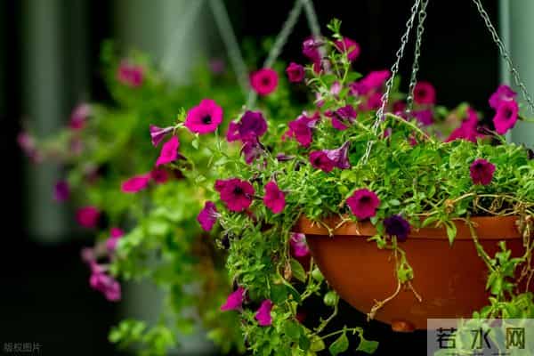 婚姻是张硬纸——厉害的婆婆（9）