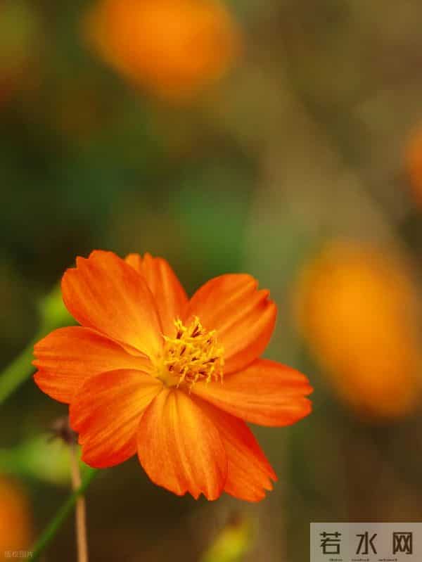 婚姻是张硬纸——厉害的婆婆（9）