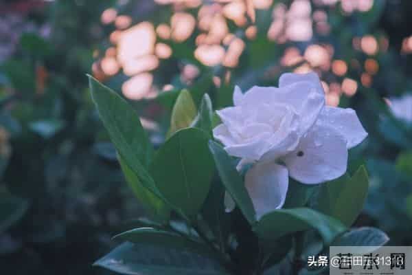 人这一辈子，想多了全是问题，做起来全是答案。