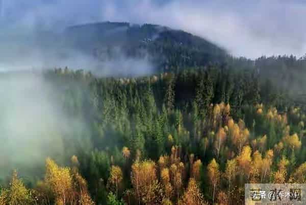 老了才懂，永远不要在兄弟姐妹面前，随口说这5句！再亲也不行！