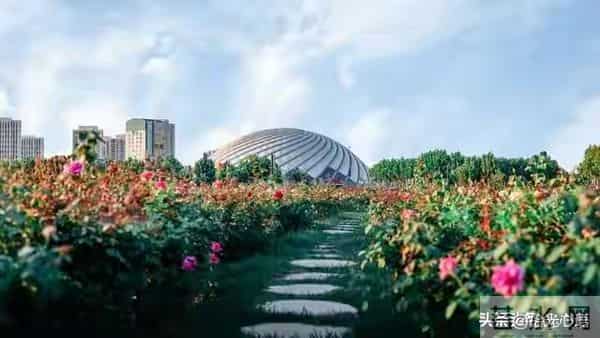 两性交往，刺激女人荷尔蒙的6个“心”开关，让她彻底为你沦陷