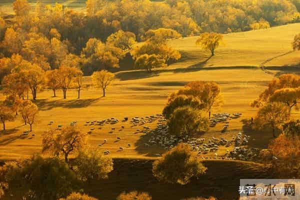 给所有子女忠告：再孝顺，也不要为年迈父母做这3件事