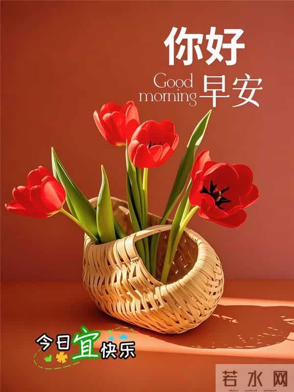 18句清晨暖心祝福,晨光送暖、惦念相伴,愿你平安顺遂,笑口常开