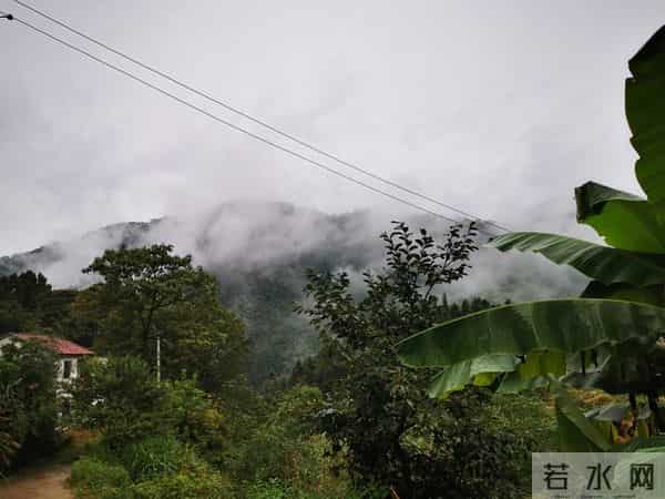 我发现：越是独来独往、没有朋友、不合群的人，人品往往越没问题