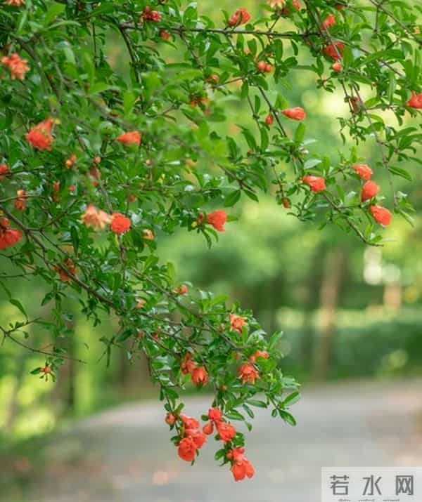 好消息！白羊座心里想的事，马上能如愿