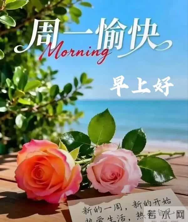 12月15日，周一｜晨间寄语：亲手重启新周，日日皆可期