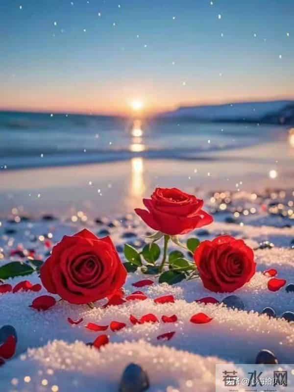 异性晚上聊天，女人嘴上说“我要睡了”，其实是在等你这样回复！