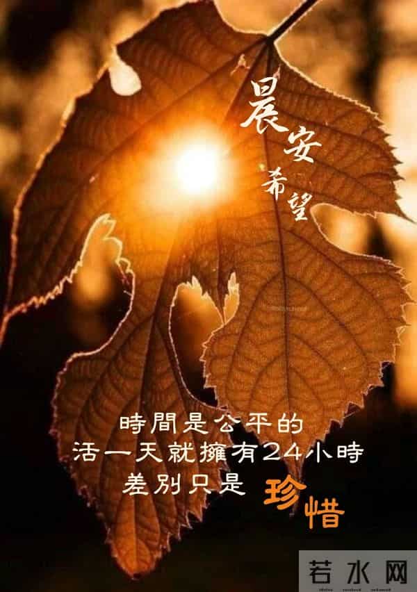 早安！冬雪皑皑覆山河。愿你心有所栖，梦有所归，岁岁长安宁！