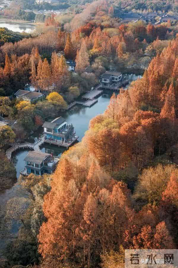 惊人的因果关系：男女之间，一旦发生了暧昧关系，一辈子也忘不了