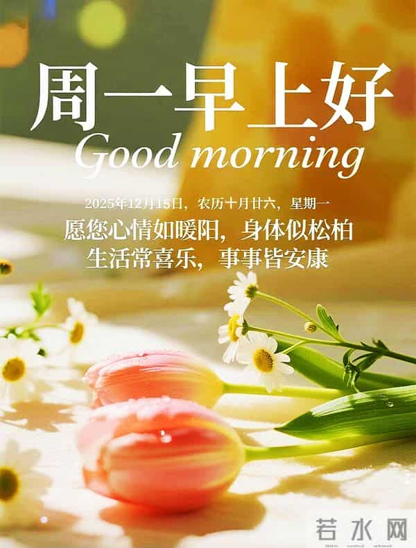 “周一早上好，请发一条字字暖心的朋友圈”