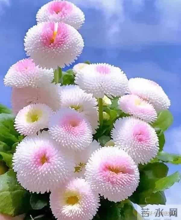 两性关系：不会走散的情人，都守着这3大规律