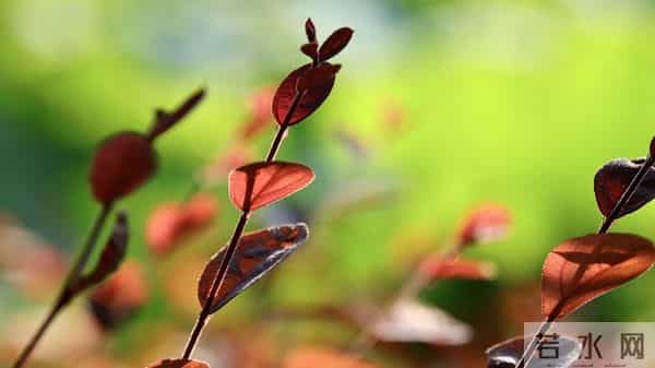 摩羯座请注意！两个“闯入者”已就位，一个助你，一个耗你