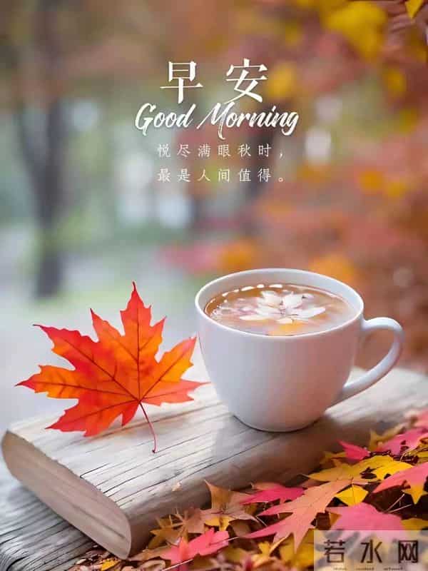 2025.12.16 冬天周二早安愉快！最新精美周二早上好温馨祝福语图片