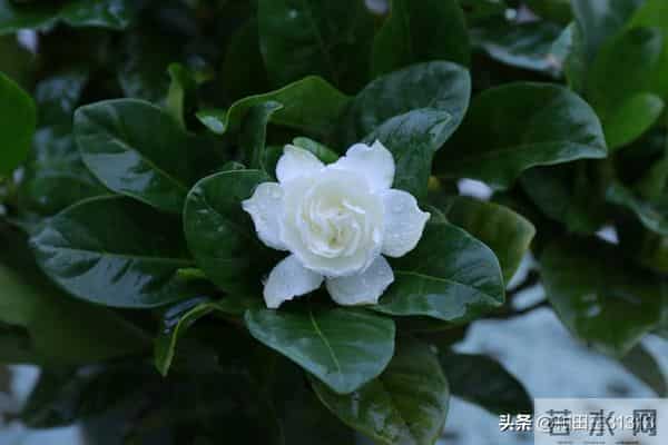 人这一辈子，想多了全是问题，做起来全是答案。