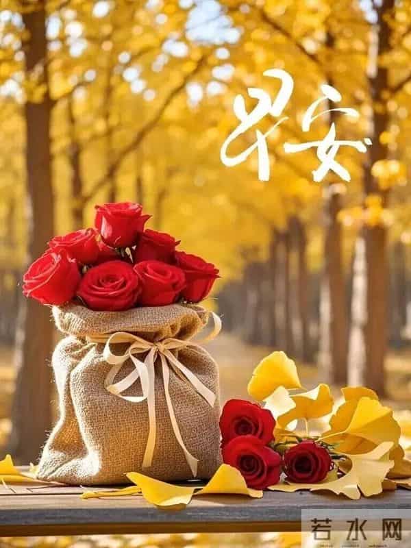 早安心语 生活不怕平淡，怕的是丢掉了“开心”的能力