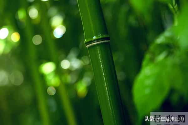 两性关系，男人没老婆，生活一地鸡毛，女人没男人，照样风生水起