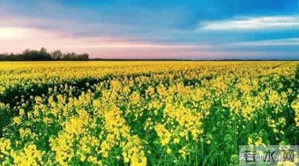 两性关系:如何在早上起床发一句,让异性惦记你好几天,别不懂!