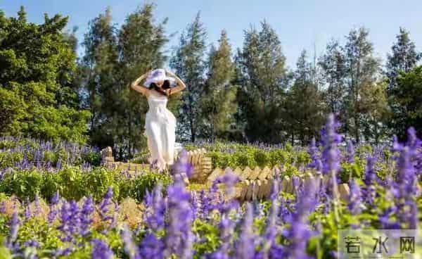 女人老牛吃嫩草是什么感觉？几位女人说了心里话，男人得听听！