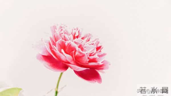 12月16日至12月22日，星期二，天蝎座，就要惊喜降临！