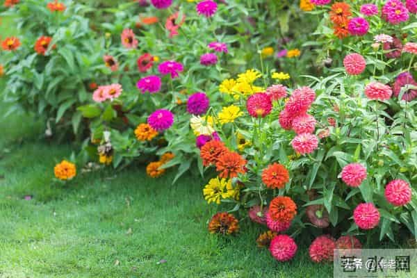 关东风雪情——被偷走的三年（139）