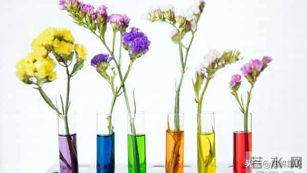 第一名：双子座，12月16号，接下来15天，得跟你说句大实在话！