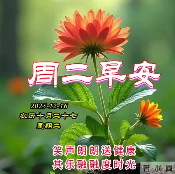 周二早安美图-一个问候，快乐启航，一个祝福，心情舒畅