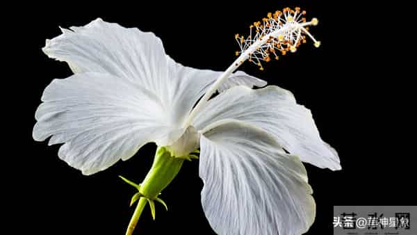 射手座，第二名：12月15号，此后三日，得跟你说个大实在话！