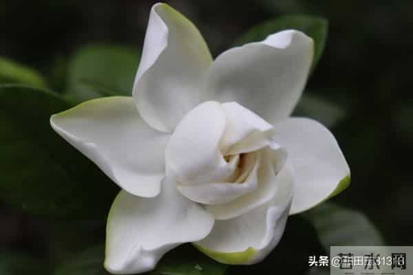 人这一辈子，想多了全是问题，做起来全是答案。