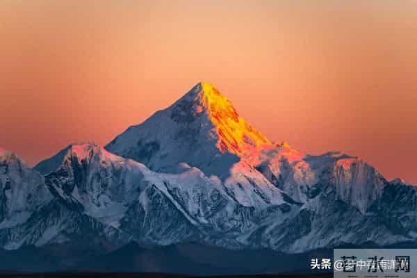 坚韧不拔的意志，金牛座