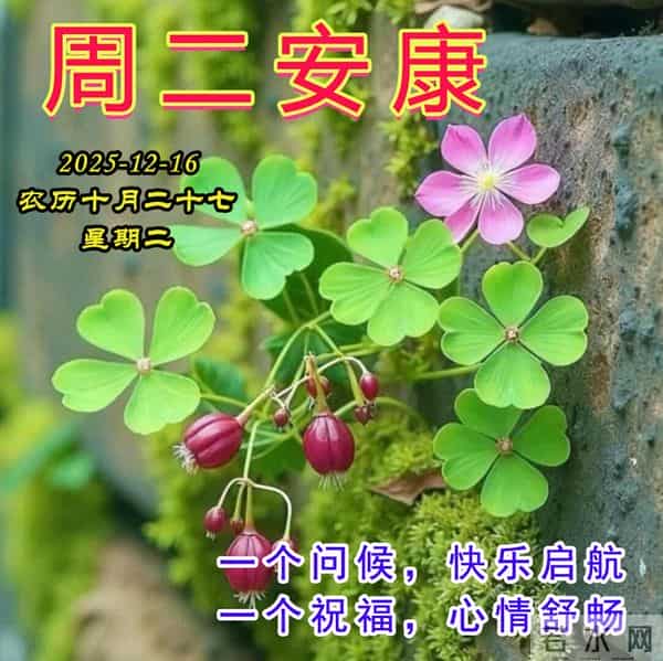 周二早安美图-一个问候，快乐启航，一个祝福，心情舒畅