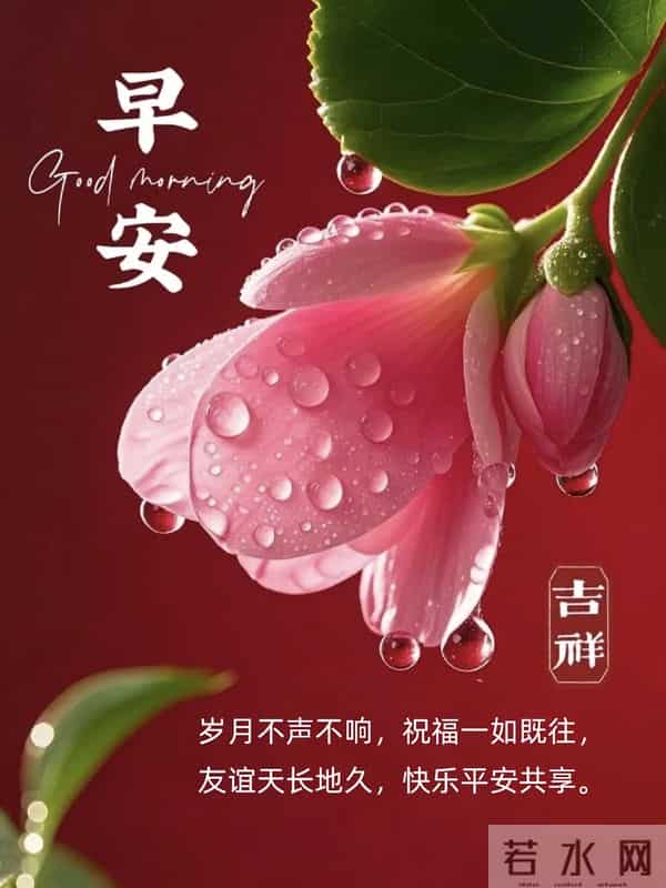 早安祝福大全- 生活总有起落,保持微笑,低谷时沉淀,高峰时绽放