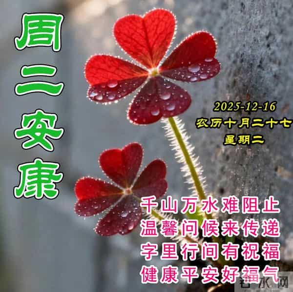周二早安美图-一个问候，快乐启航，一个祝福，心情舒畅