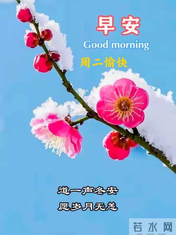 12月16日星期二早安祝福图片