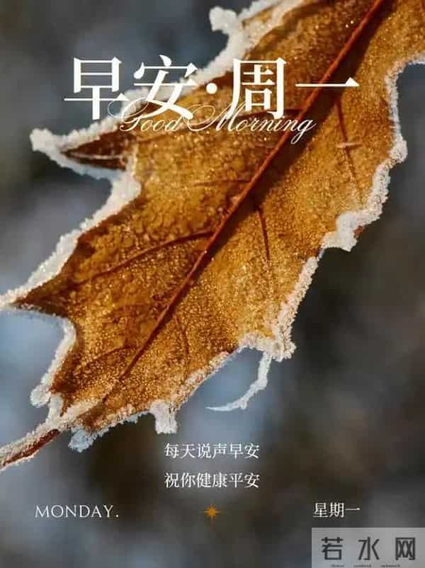 2025.12.15 冬天周一早上好!最新精美周一早安愉快温馨祝福图片