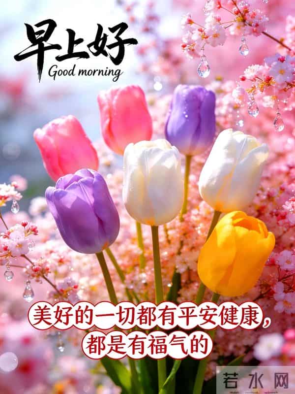 23句暖心早安文案，暖意融融，祝福声声，愿你平安顺遂，快乐常伴