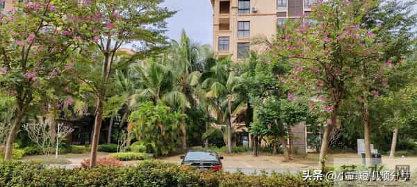 海南邻居的两块砖，悄然结束了母亲独享长廊的日子