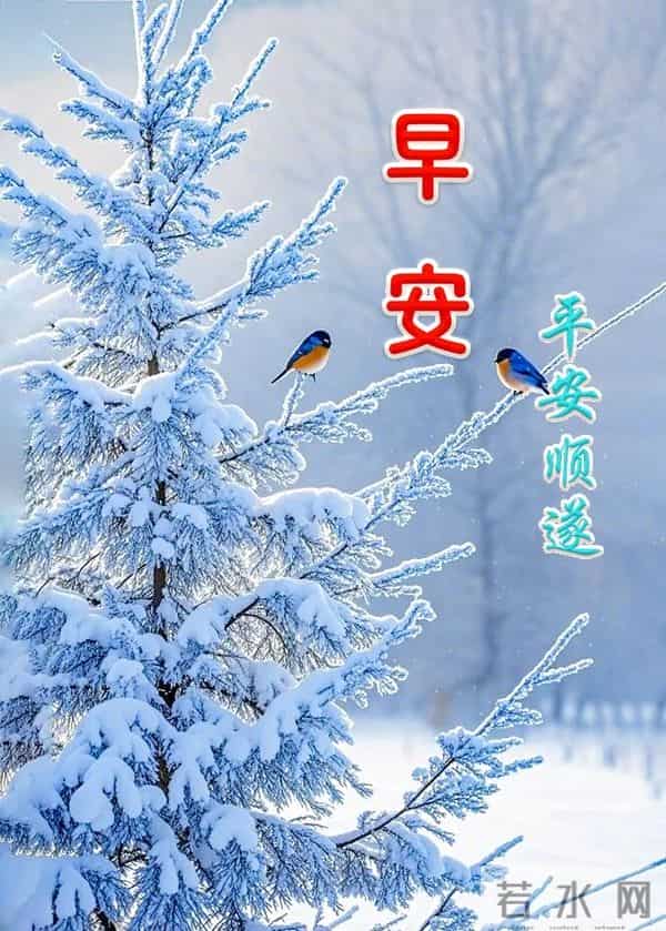 高清雪景美图，送上冬的早安祝福