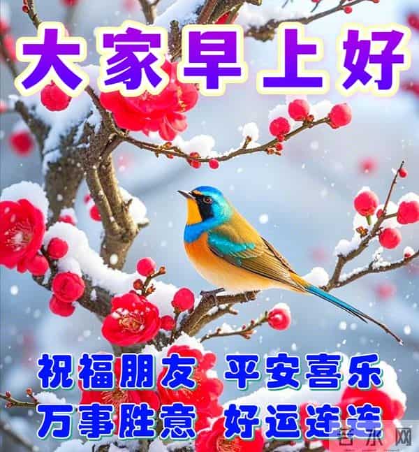 12月15日-漂亮周一早安祝福图片，早安祝福语精选